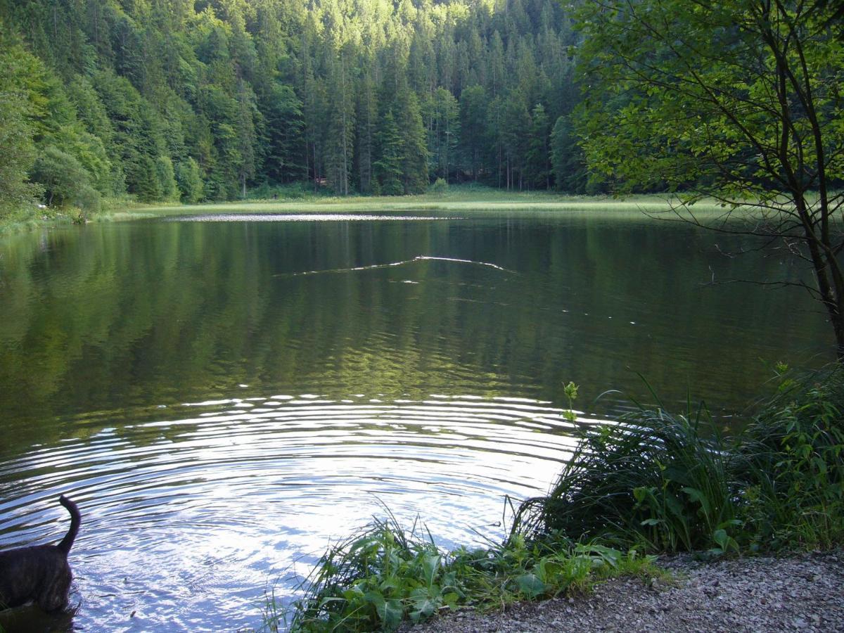 Berghotel Sutten Rottach-Egern Luaran gambar